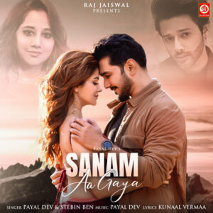 Sanam Aa Gaya Lyrics - Payal Dev, Stebin Ben